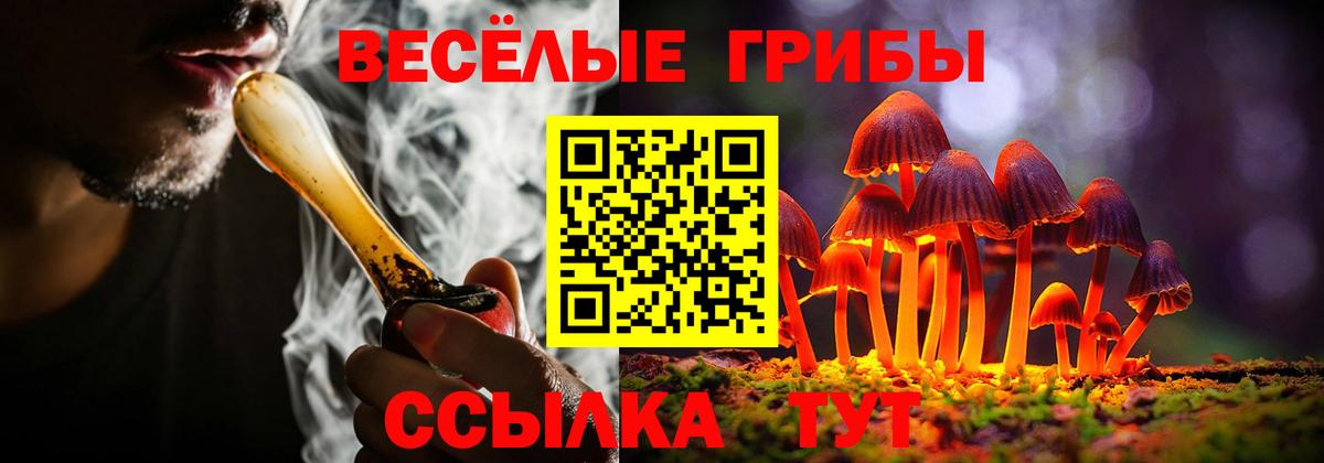 Гусиноозёрск  купить   Вход с VPN  Галлюциногенные грибы Psilocybe 